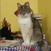 Отзыв от Софья Шарова